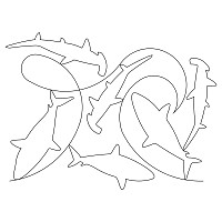 shark e2e 004
